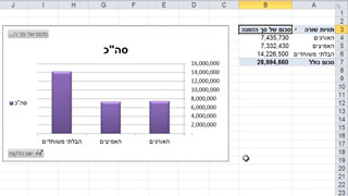 אקסל טבלאות ציר - Excel Pivot Tables צילומי מסך