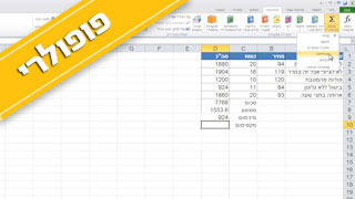 אקסל 2010 - Excel צילומי מסך